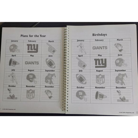 NY Giants Lesson Planner and Record Book Academic Teacher Tools School NFL - Picture 4 of 10